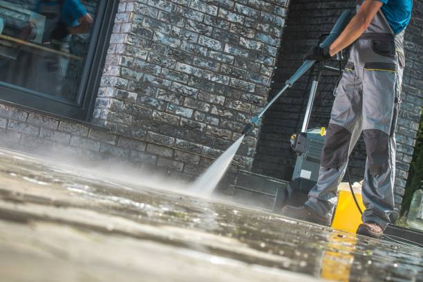 Best Animal Enclosure Cleaning  in Lyford, TX