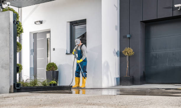 Best Fleet Vehicle Washing  in Lyford, TX